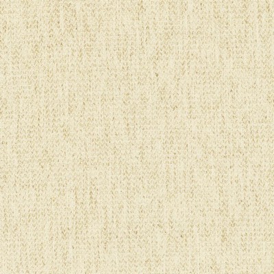 Kasmir WELL VERSED      SNOW            